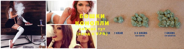 прущая мука Верея