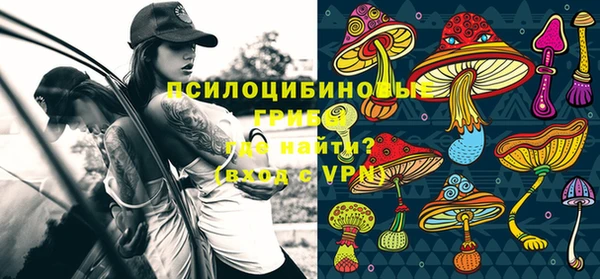 прущая мука Верея