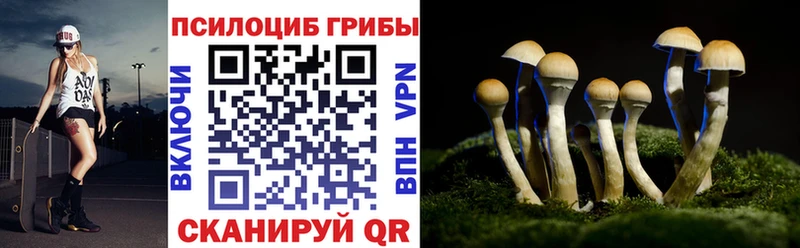 Галлюциногенные грибы GOLDEN TEACHER  Майкоп 